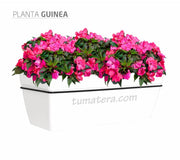 COMBO KIT CAPRI BALCÓN 50CM CON FLORES - Tumatera.co