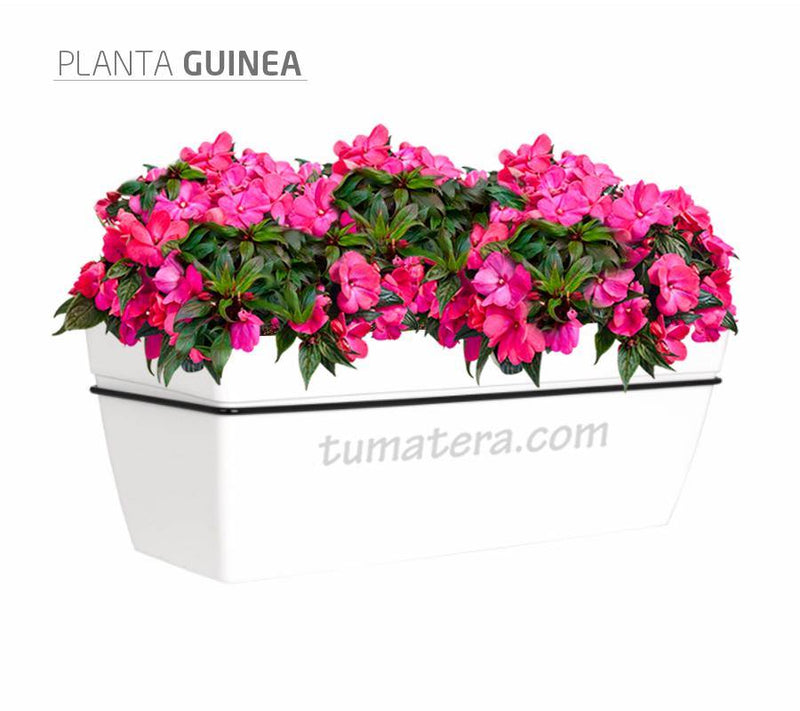 COMBO KIT CAPRI BALCÓN 50CM CON FLORES - Tumatera.co