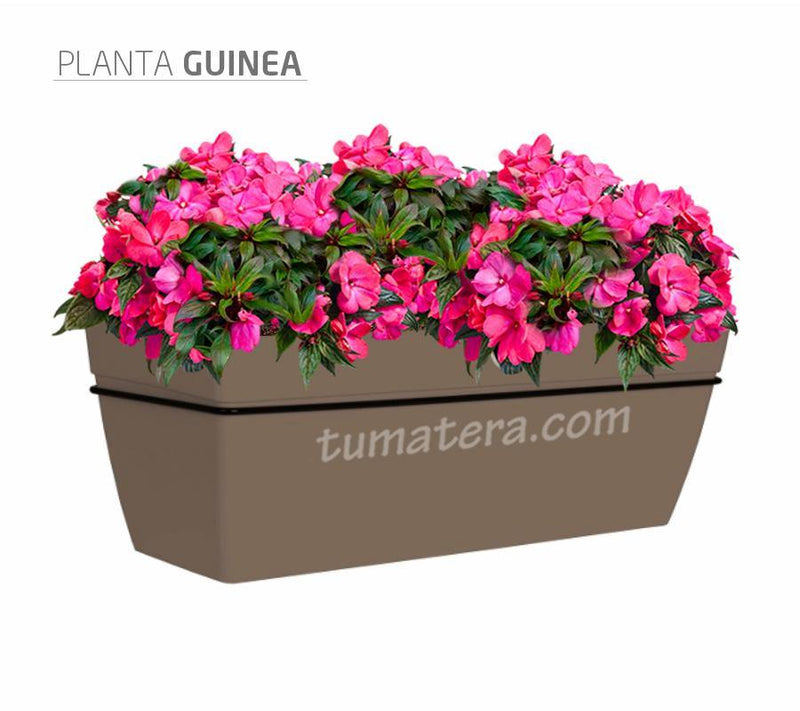 COMBO KIT CAPRI BALCÓN 50CM CON FLORES - Tumatera.co