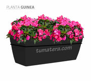 COMBO KIT CAPRI BALCÓN 50CM CON FLORES - Tumatera.co