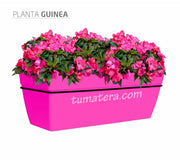 COMBO KIT CAPRI BALCÓN 50CM CON FLORES - Tumatera.co