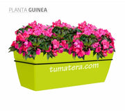 COMBO KIT CAPRI BALCÓN 50CM CON FLORES - Tumatera.co