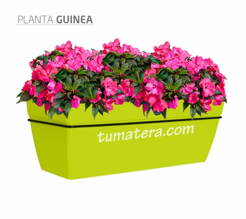 COMBO KIT CAPRI BALCÓN 50CM CON FLORES - Tumatera.co