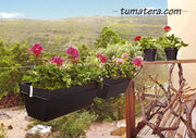 COMBO KIT CAPRI BALCÓN 50 CM CON GERANIUM PELARGOMIUN - Tumatera.co