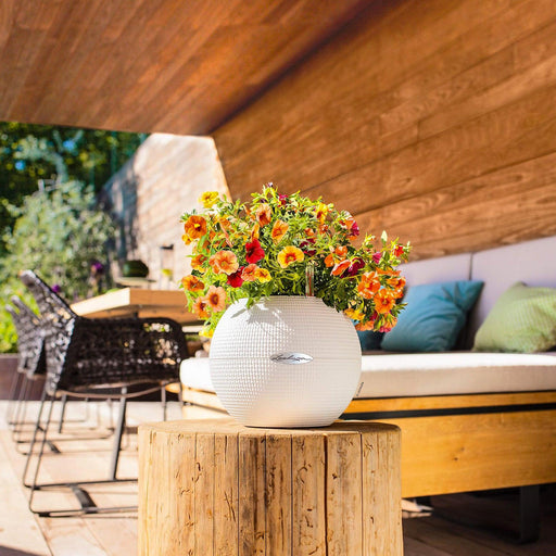 MATERA INTELIGENTE AUTORREGANTE PURO 20 CM - Tumatera.co