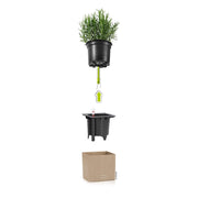 MATERA INTELIGENTE AUTORREGANTE CANTO 14 CM - Tumatera.co