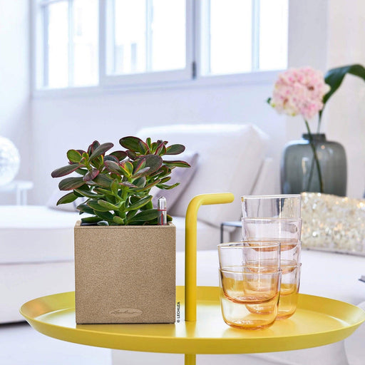 MATERA INTELIGENTE AUTORREGANTE CANTO 14 CM - Tumatera.co