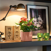 MATERA INTELIGENTE AUTORREGANTE CUBE GLOSSY 14 CM - Tumatera.co