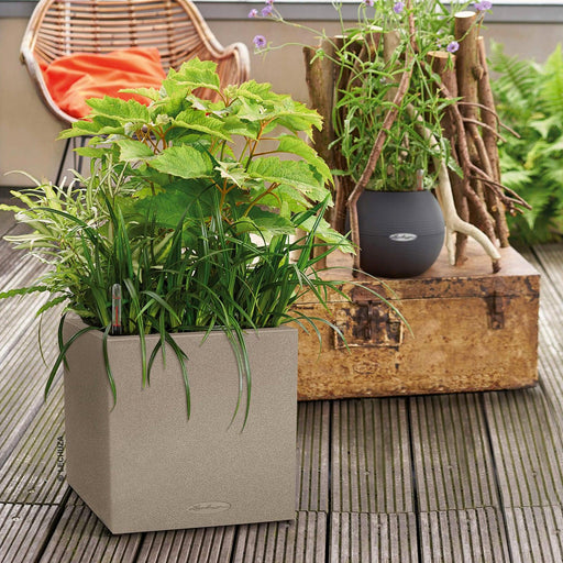 MATERA INTELIGENTE AUTORREGANTE CANTO STONE 30 CM - Tumatera.co