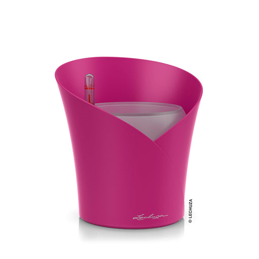 MATERA INTELIGENTE AUTORREGANTE ORQUÍDEA 18 CM - Tumatera.co