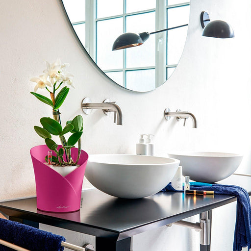 MATERA INTELIGENTE AUTORREGANTE ORQUÍDEA 18 CM - Tumatera.co