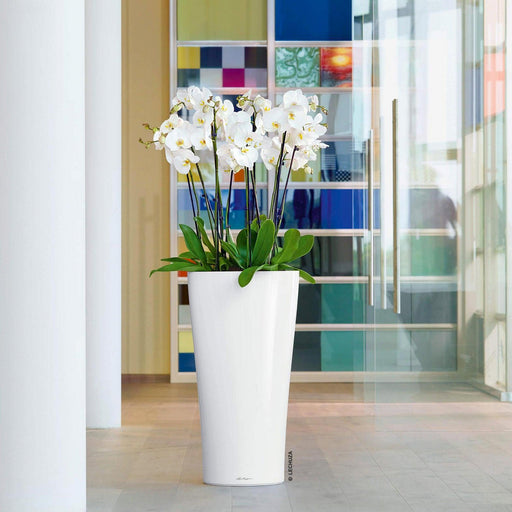 MATERA INTELIGENTE AUTORREGANTE DELTA 75 CM - Tumatera.co