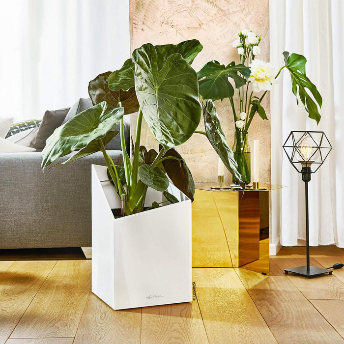 MATERA INTELIGENTE AUTORREGANTE CURSIVO 49 CM - Tumatera.co