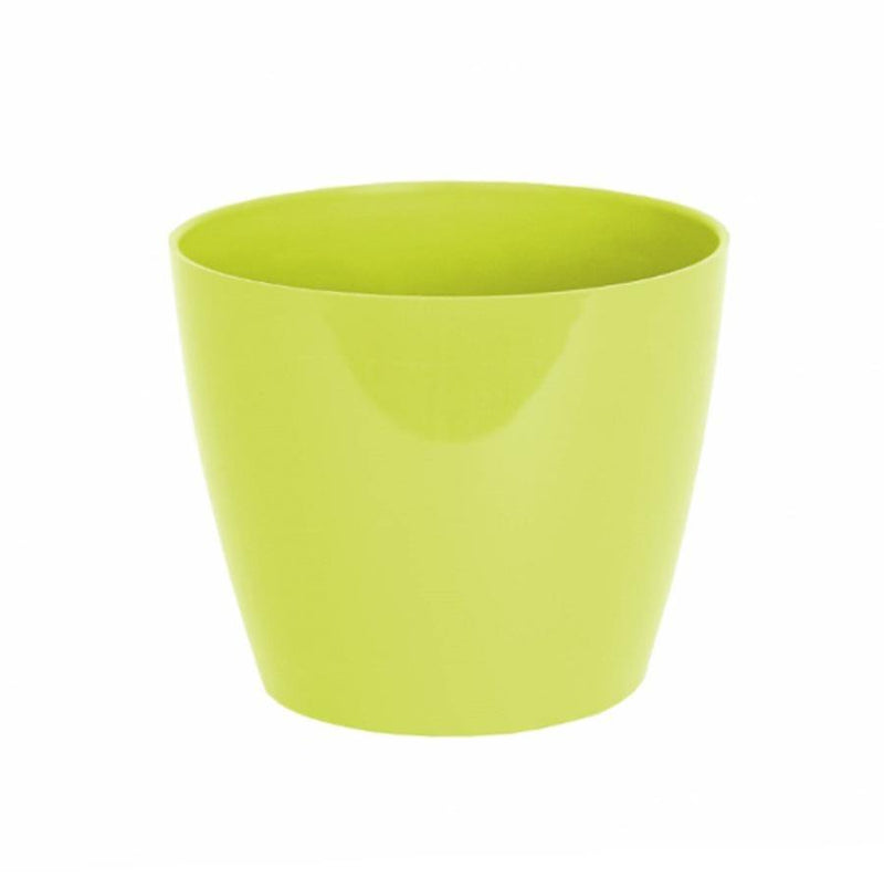 MATERA SAN REMO 9 CM - Tumatera.co