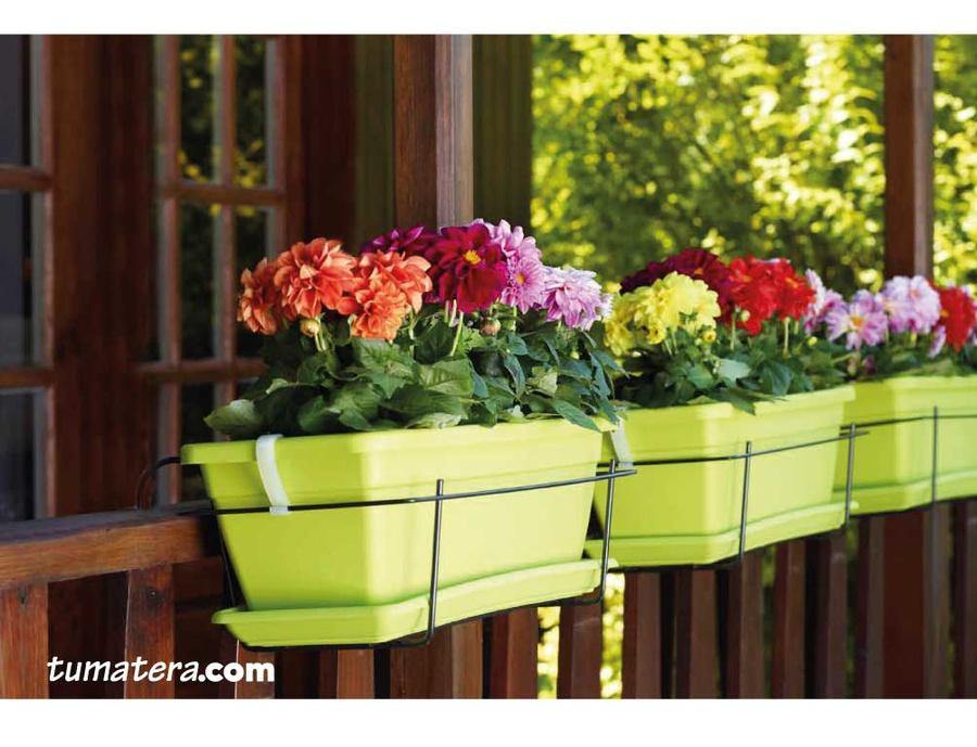 COMBO VENEZA BALCÓN 50 CM CON GERANIUM PELARGOMIUN - Tumatera.co