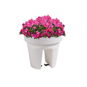 COMBO MATERA BALCÓN LOFLY 25 CM CON FLORES- Tumatera.co