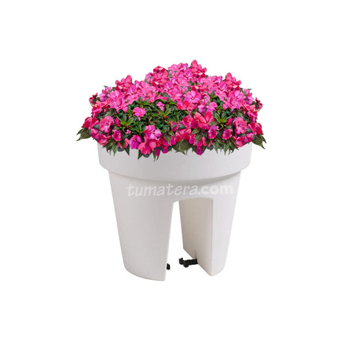 COMBO MATERA BALCÓN LOFLY 25 CM CON FLORES- Tumatera.co