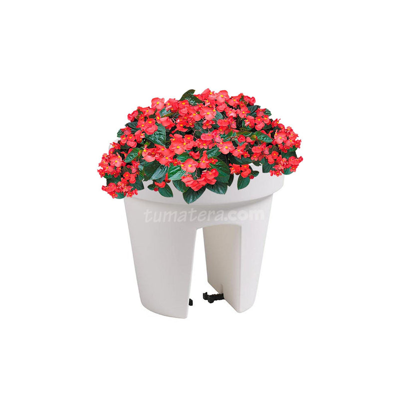 COMBO MATERA BALCÓN LOFLY 25 CM CON FLORES- Tumatera.co