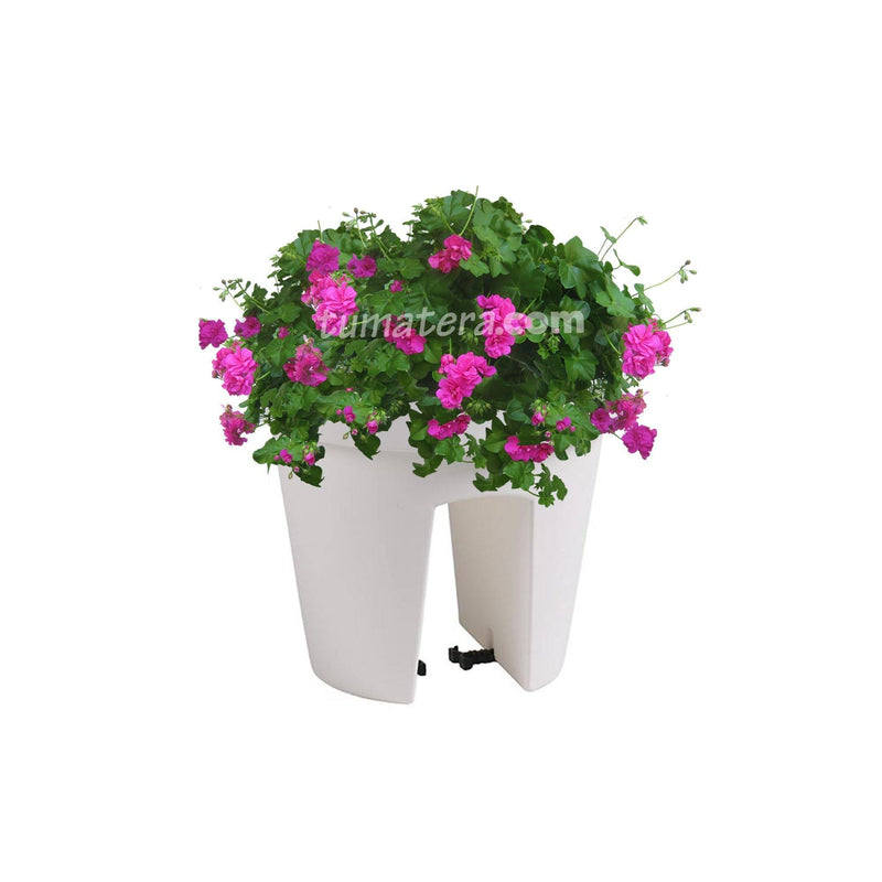 COMBO MATERA BALCÓN LOFLY 25 CM CON GERANIUM PELARGOMIUN- Tumatera.co