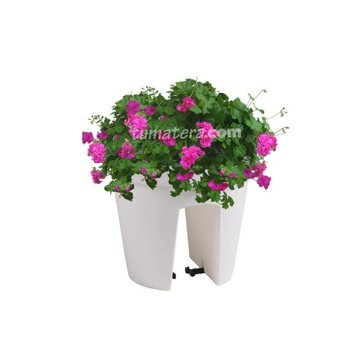 COMBO MATERA BALCÓN LOFLY 25 CM CON GERANIUM PELARGOMIUN- Tumatera.co