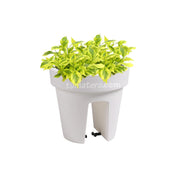 COMBO MATERA BALCÓN LOFLY 25 CM CON DURANTAS- Tumatera.co