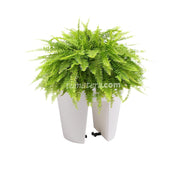 COMBO MATERA BALCÓN LOFLY 25 CM CON HELECHOS- Tumatera.co