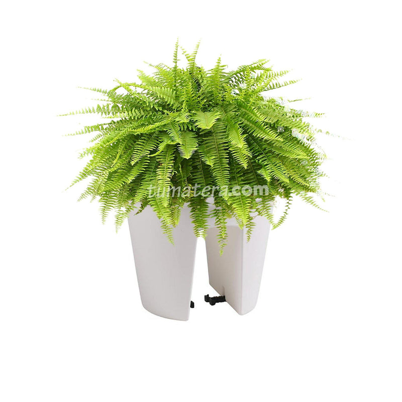 COMBO MATERA BALCÓN LOFLY 25 CM CON HELECHOS- Tumatera.co
