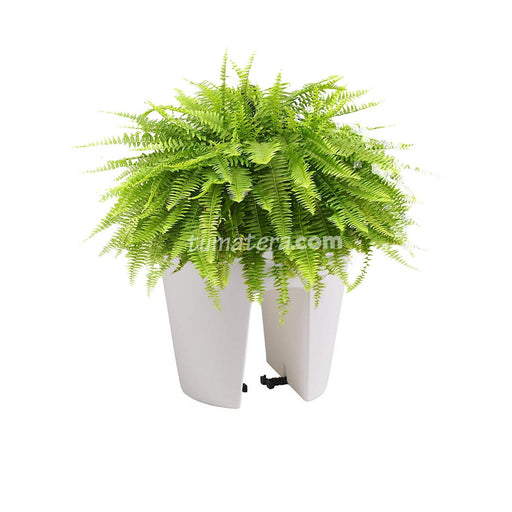 COMBO MATERA BALCÓN LOFLY 25 CM CON HELECHOS- Tumatera.co