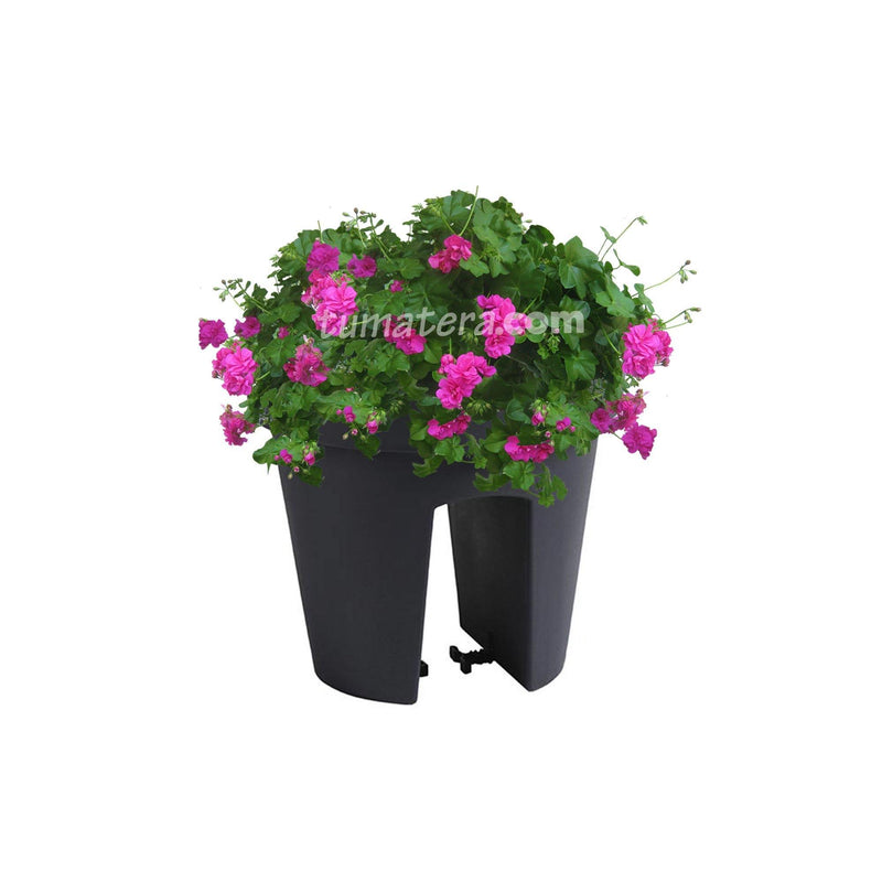 COMBO MATERA BALCÓN LOFLY 25 CM CON GERANIUM PELARGOMIUN- Tumatera.co