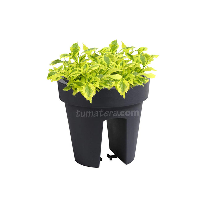 COMBO MATERA BALCÓN LOFLY 25 CM CON DURANTAS- Tumatera.co