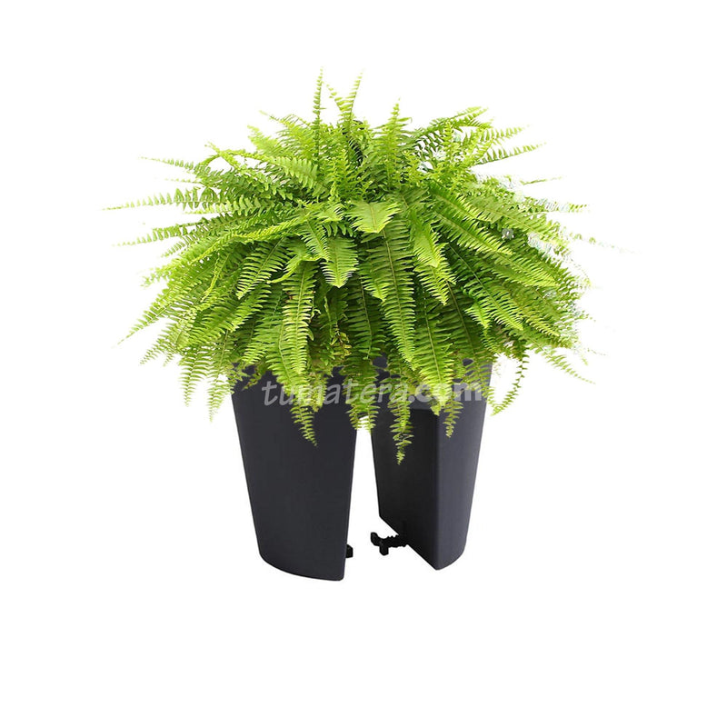 COMBO MATERA BALCÓN LOFLY 25 CM CON HELECHOS- Tumatera.co