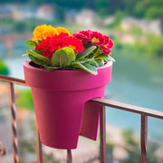 Matera Balcón Lofly 25 cm en uso con maceta color rosa