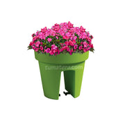 COMBO MATERA BALCÓN LOFLY 25 CM CON FLORES- Tumatera.co