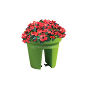 COMBO MATERA BALCÓN LOFLY 25 CM CON FLORES- Tumatera.co