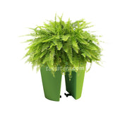 COMBO MATERA BALCÓN LOFLY 25 CM CON HELECHOS- Tumatera.co