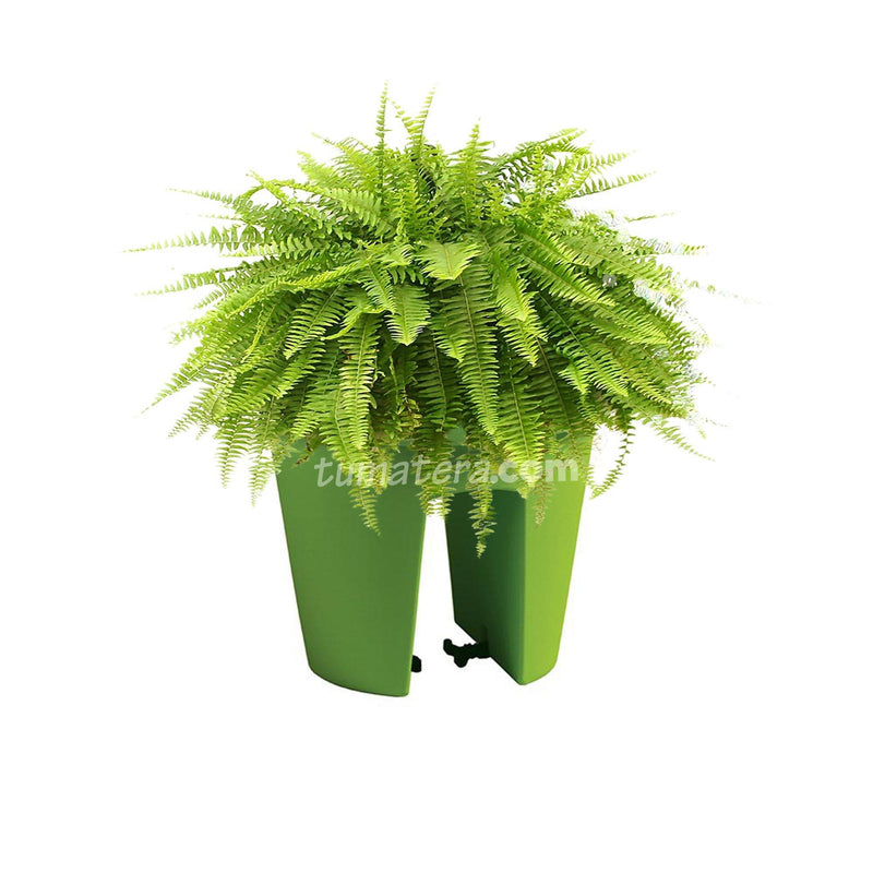 COMBO MATERA BALCÓN LOFLY 25 CM CON HELECHOS- Tumatera.co