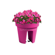 COMBO MATERA BALCÓN LOFLY 25 CM CON FLORES- Tumatera.co