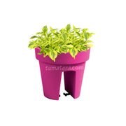 COMBO MATERA BALCÓN LOFLY 25 CM CON DURANTAS- Tumatera.co