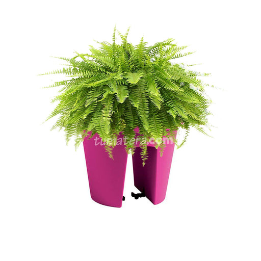 COMBO MATERA BALCÓN LOFLY 25 CM CON HELECHOS- Tumatera.co