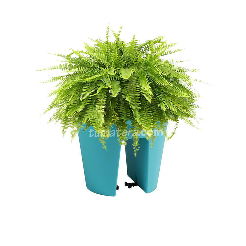 COMBO MATERA BALCÓN LOFLY 25 CM CON HELECHOS- Tumatera.co