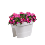 COMBO JARDINERA BALCÓN LOFLY 40 CM CON FLORES- Tumatera.co