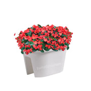 COMBO JARDINERA BALCÓN LOFLY 40 CM CON FLORES- Tumatera.co