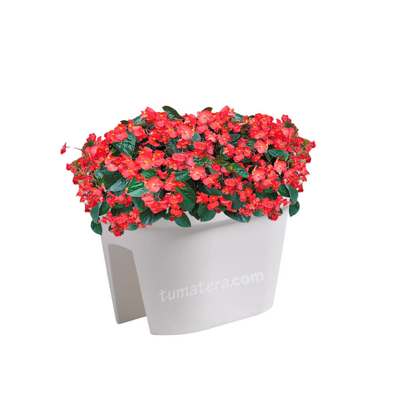 COMBO JARDINERA BALCÓN LOFLY 40 CM CON FLORES- Tumatera.co
