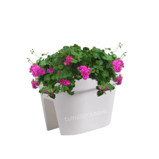 COMBO JARDINERA BALCÓN LOFLY 40 CM CON GERANIUM PELARGOMIUN- Tumatera.co