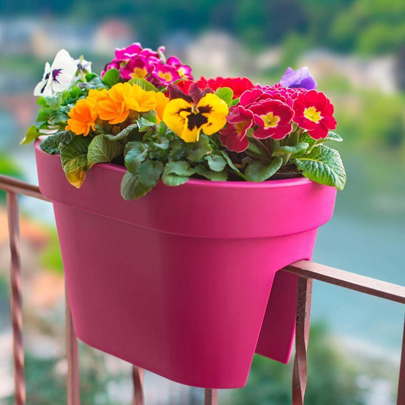 Matera Balcón Lofly 40 cm en uso con matera color fucsia