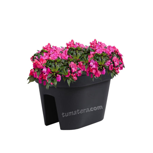 COMBO JARDINERA BALCÓN LOFLY 40 CM CON FLORES- Tumatera.co