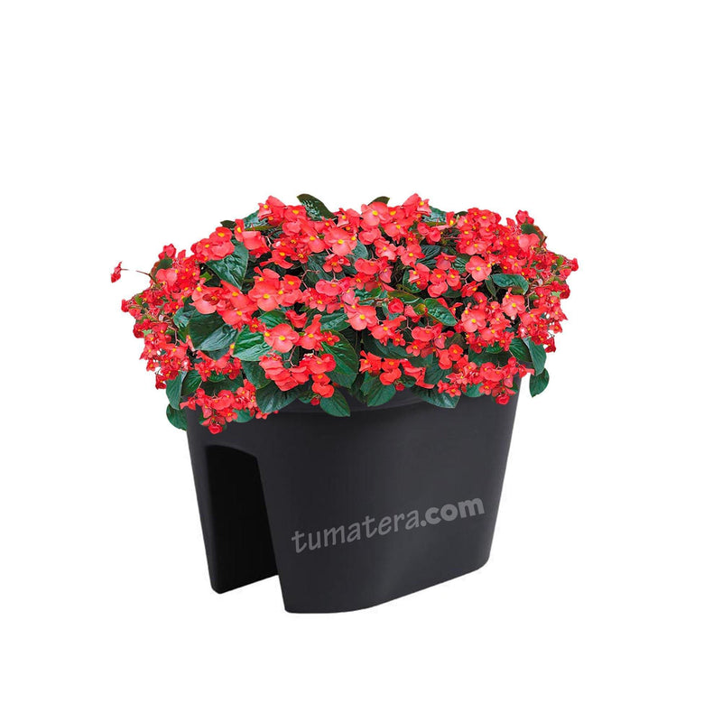 COMBO JARDINERA BALCÓN LOFLY 40 CM CON FLORES- Tumatera.co