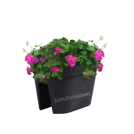 COMBO JARDINERA BALCÓN LOFLY 40 CM CON GERANIUM PELARGOMIUN- Tumatera.co