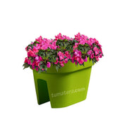 COMBO JARDINERA BALCÓN LOFLY 40 CM CON FLORES- Tumatera.co