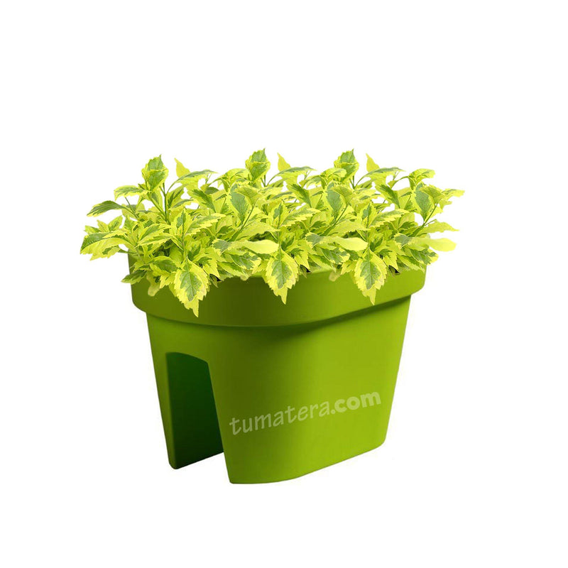 COMBO JARDINERA BALCÓN LOFLY 40 CM CON DURANTAS- Tumatera.co